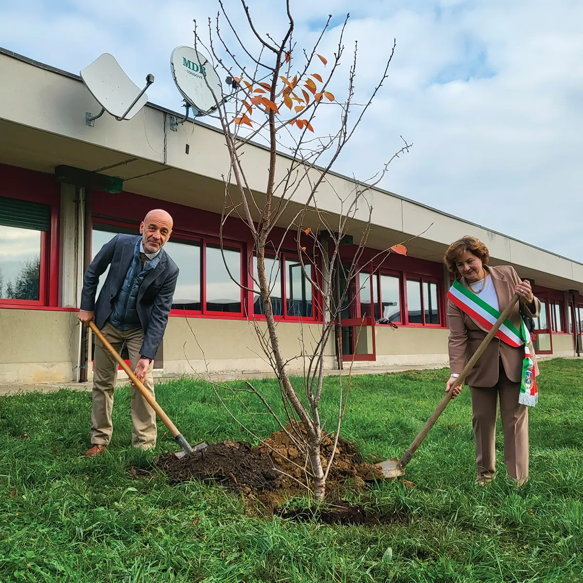 Suzuki: gli alberi “Sakura” per celebrare la Giornata Nazionale degli Alberi