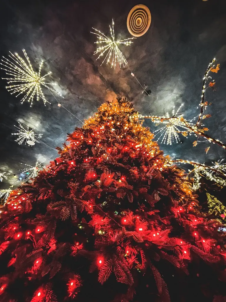 OPPO: illumina il Natale con Find X5 Pro