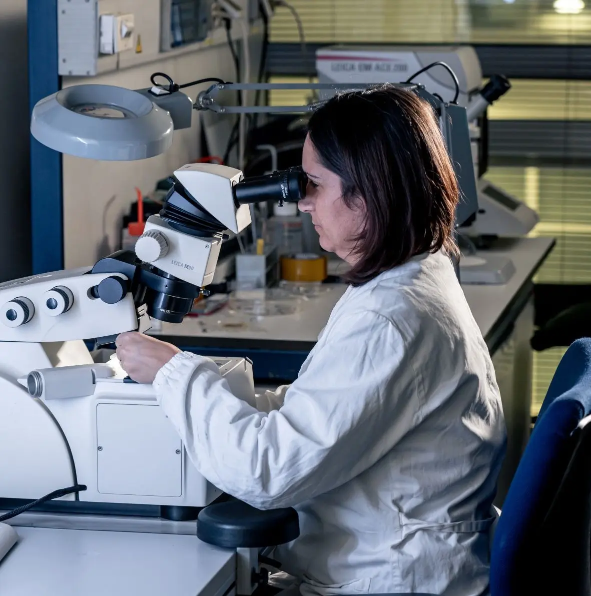 Pirelli e Università Bicocca: una partnership per la ricerca