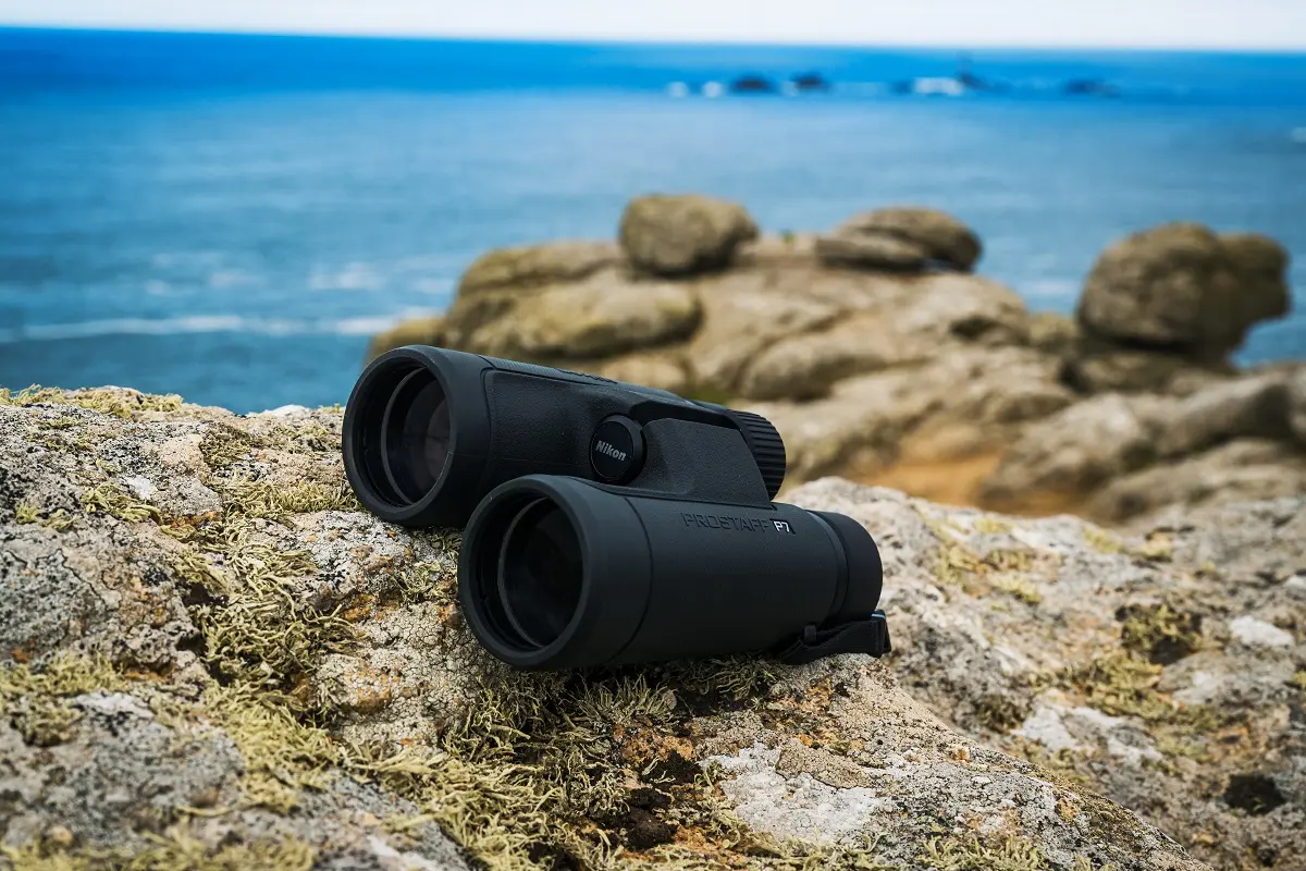 Binocoli Nikon PROSTAFF P7 e P3: la scelta perfetta per il birdwatching