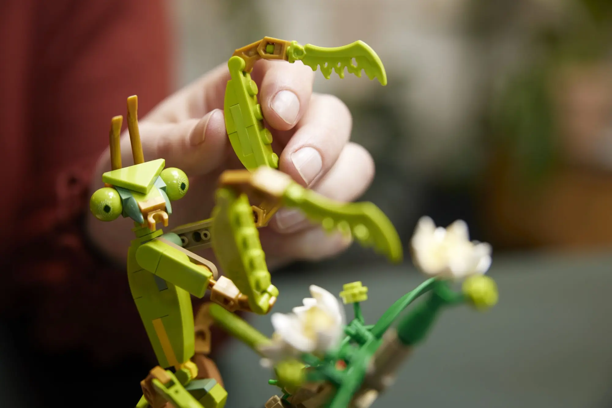 Il Gruppo LEGO presenta il nuovo set LEGO Ideas Collezione di insetti