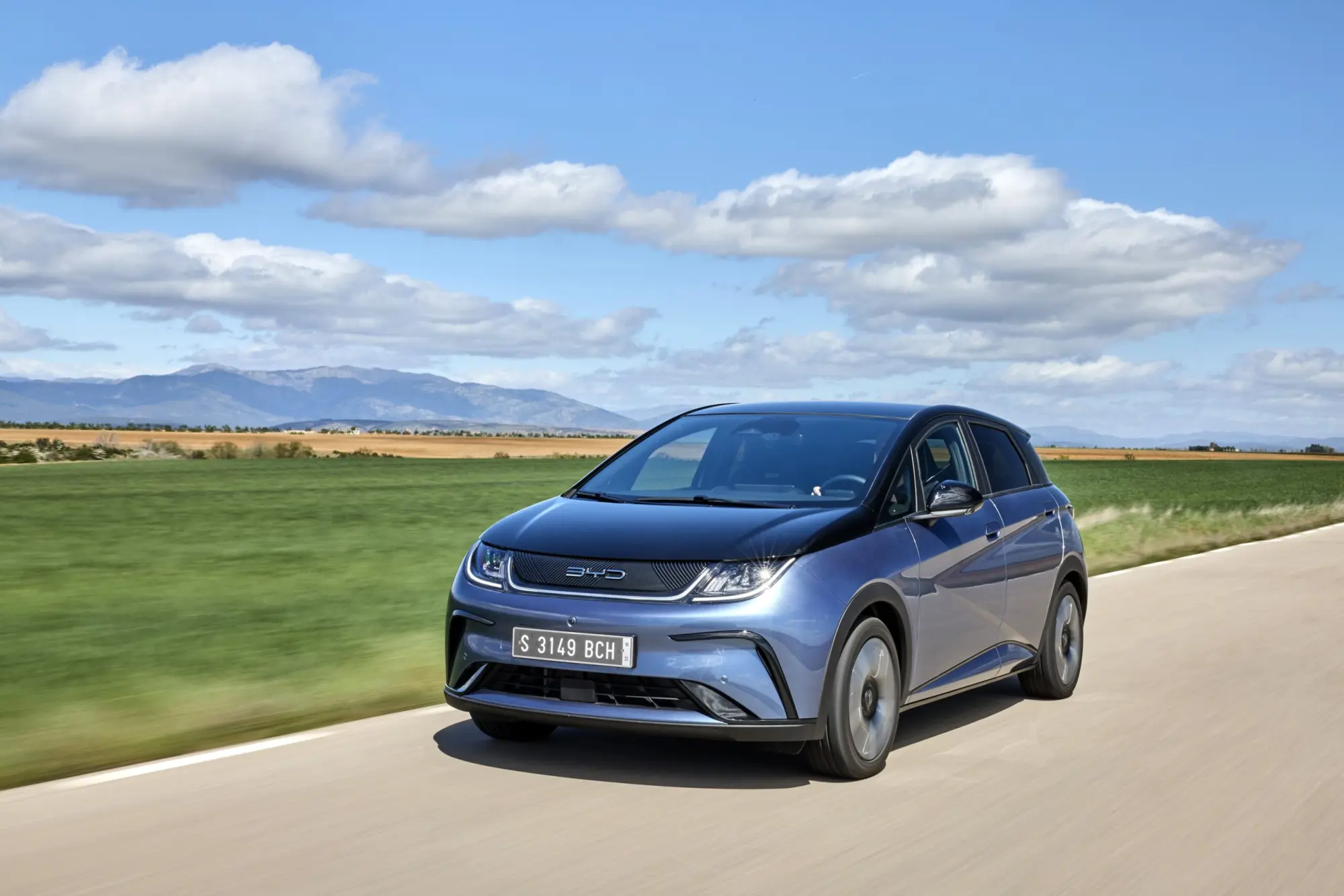 BYD DOLPHIN: compatta elettrica con tanto carattere