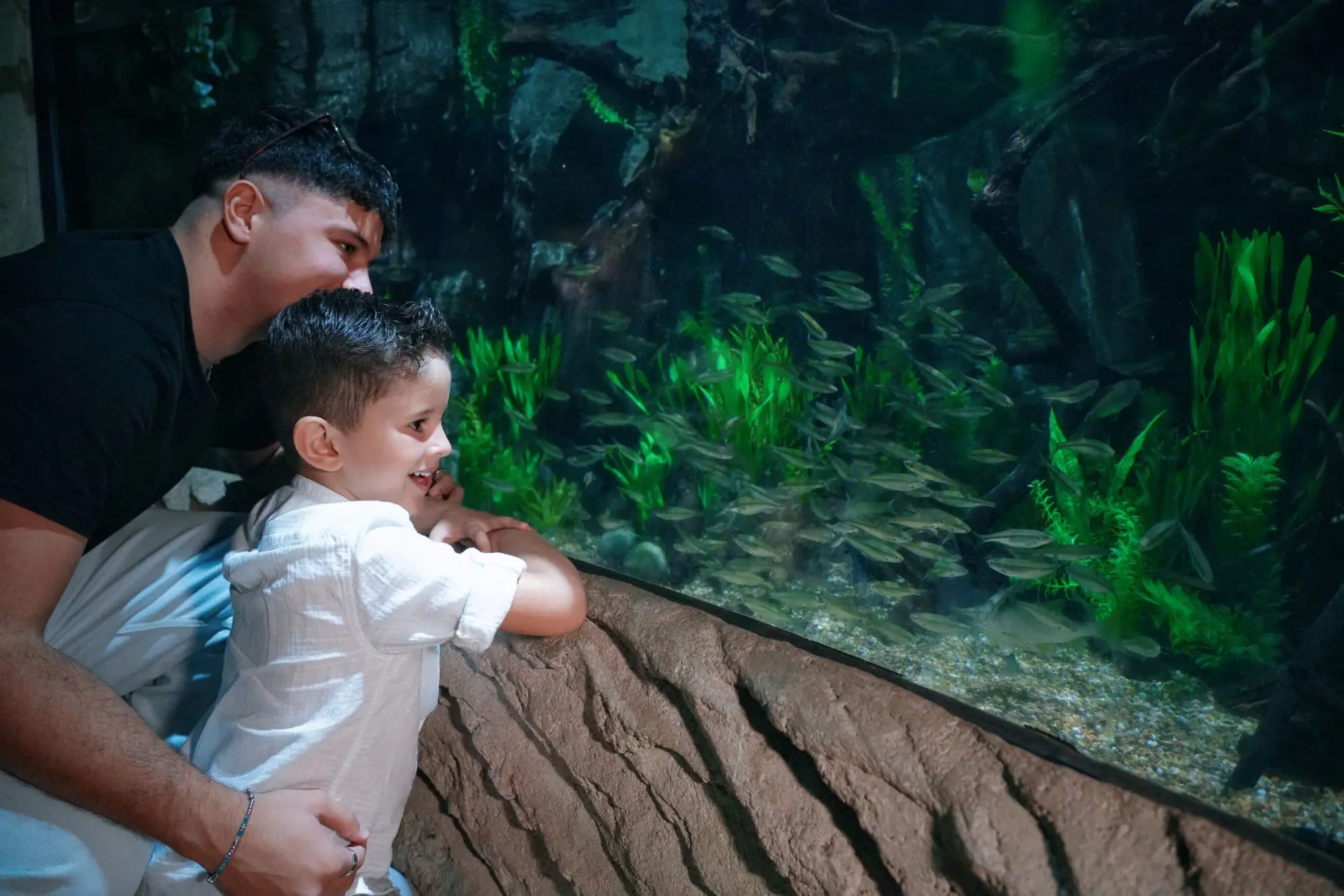 GIORNATA MONDIALE AMBIENTE: un progetto di conservazione unico a Gardaland SEA LIFE Aquarium