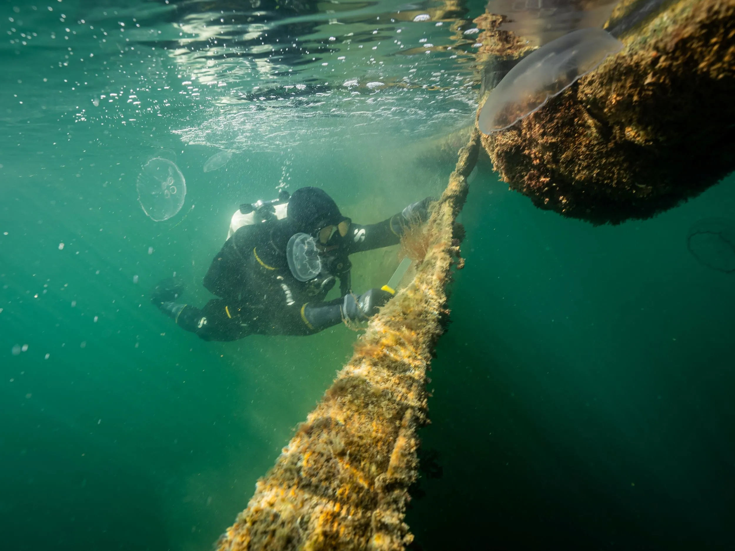 Hyundai e Healthy Seas: rimosse 170 tonnellate di rifiuti marini con “Operation Ghost Farms”