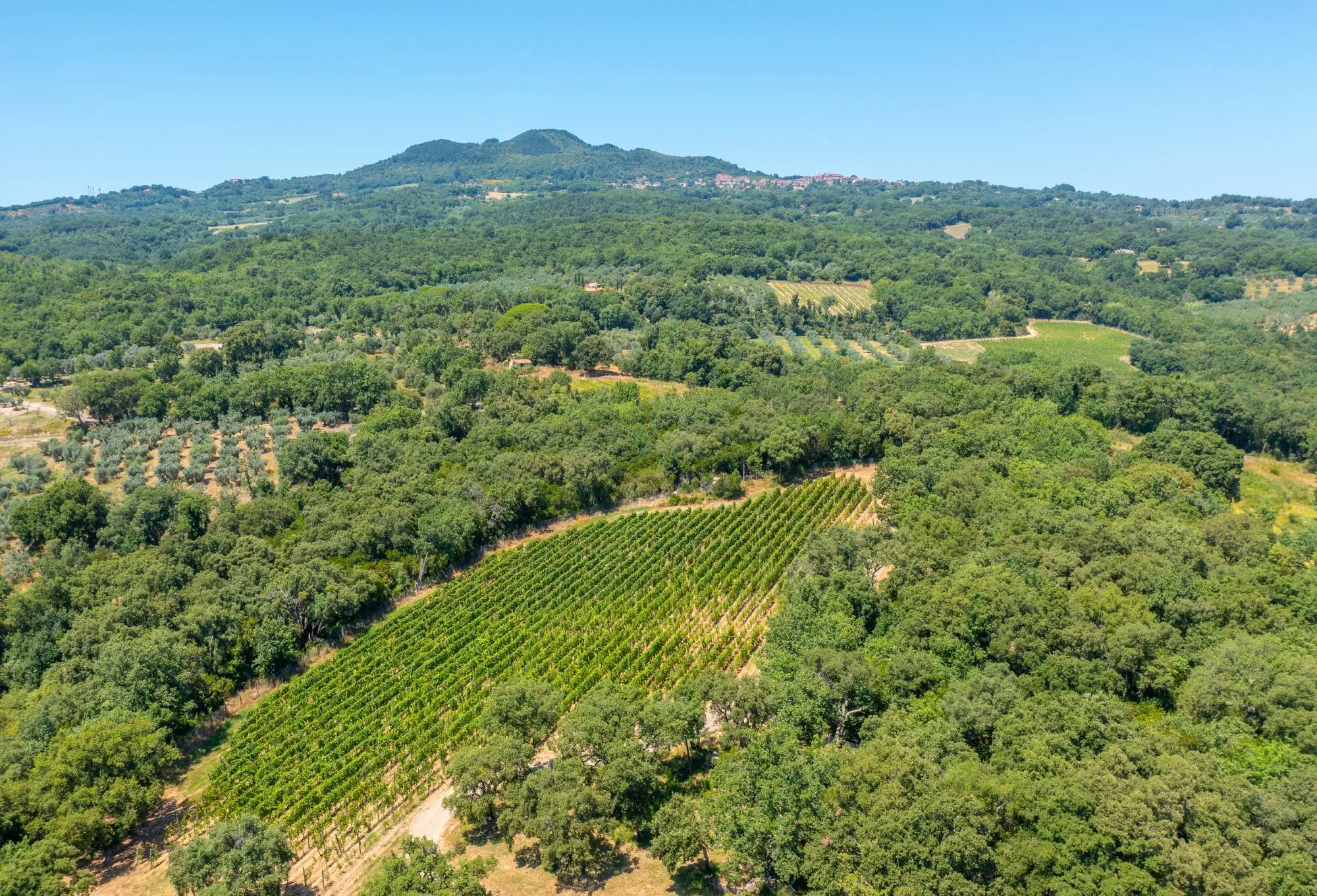 Primavera in Alta Maremma Toscana