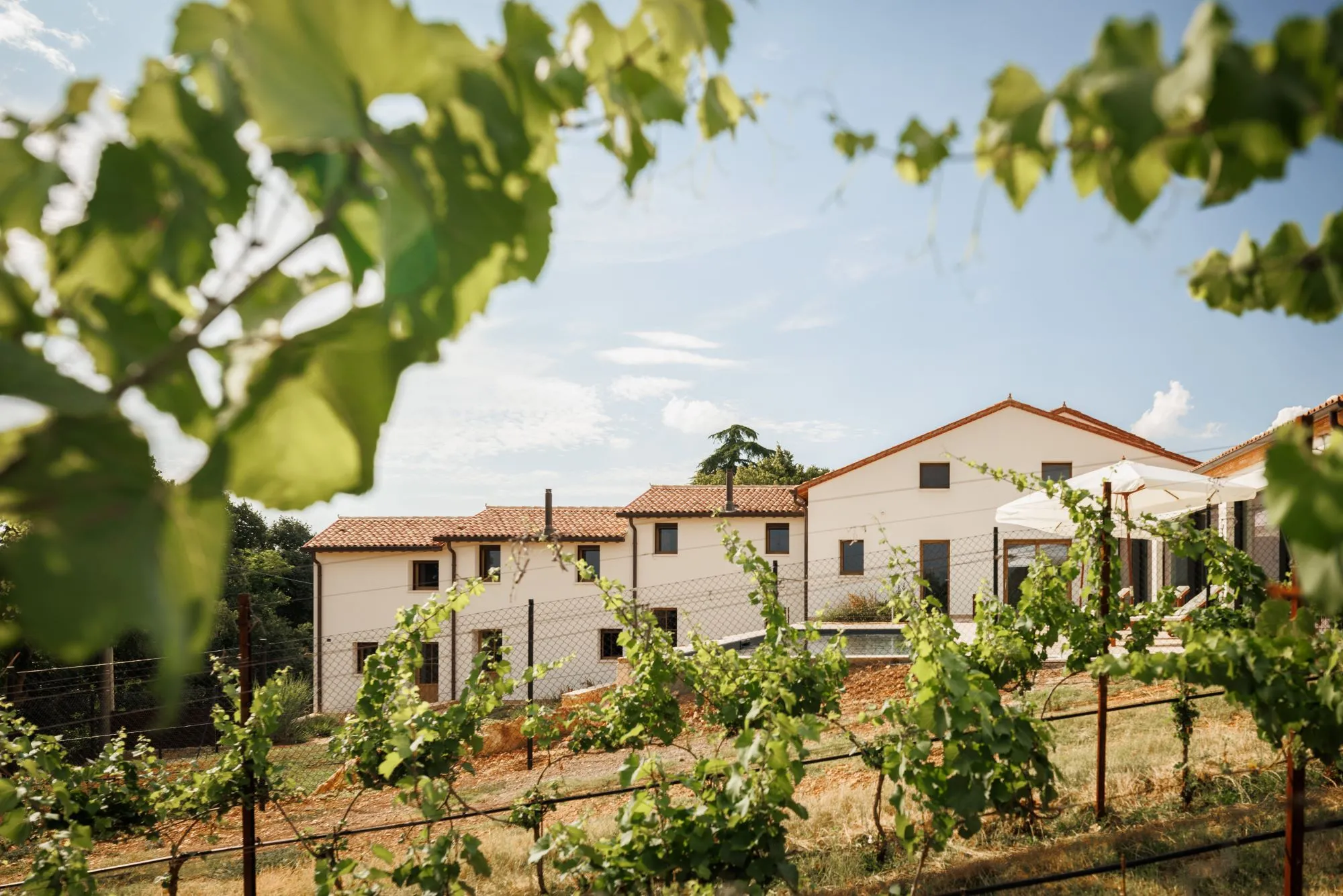 Castel Bricon, dimora di campagna: la rinascita di un antico casolare agricolo tra i Colli Berici