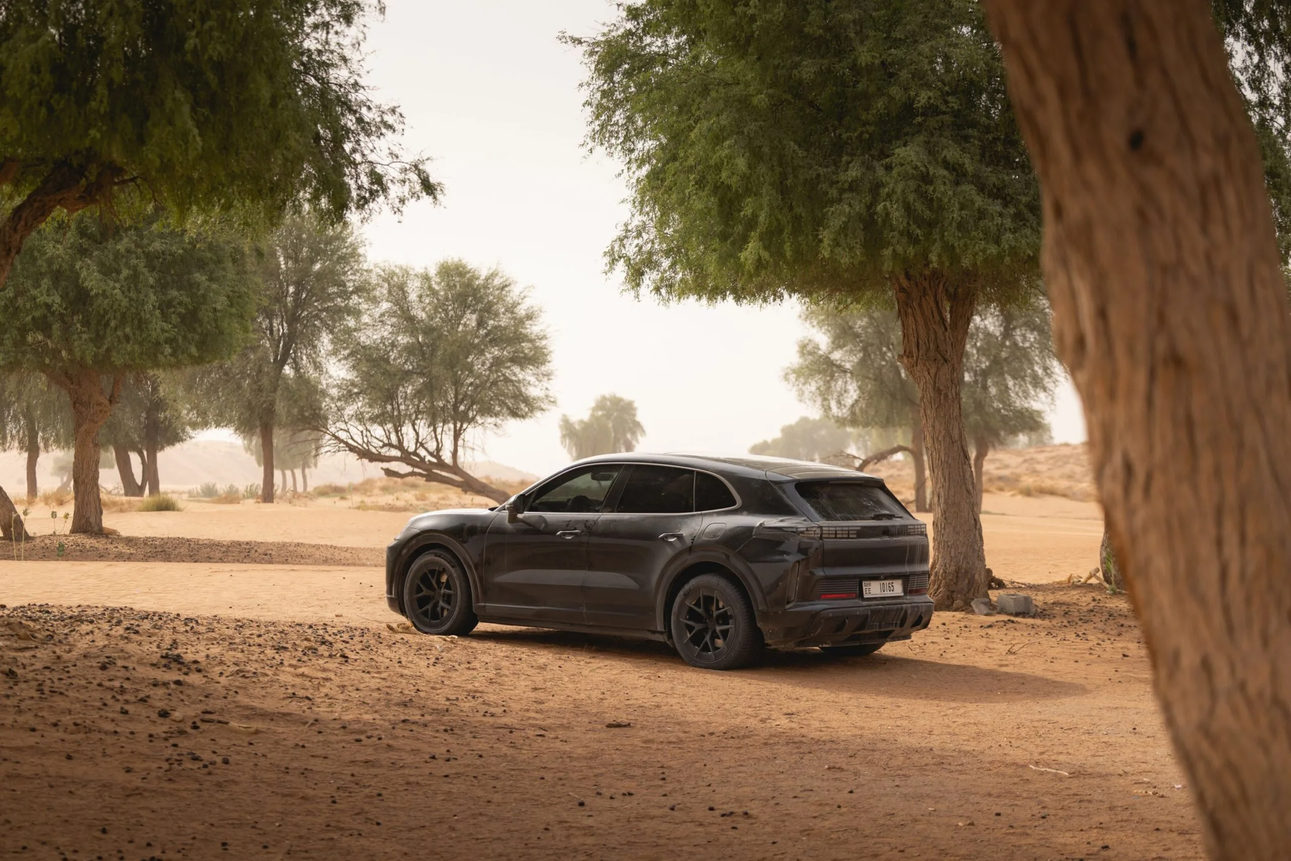 Tra skyline e sabbia: la Cayenne Electric fa il suo debutto dal vivo a Dubai