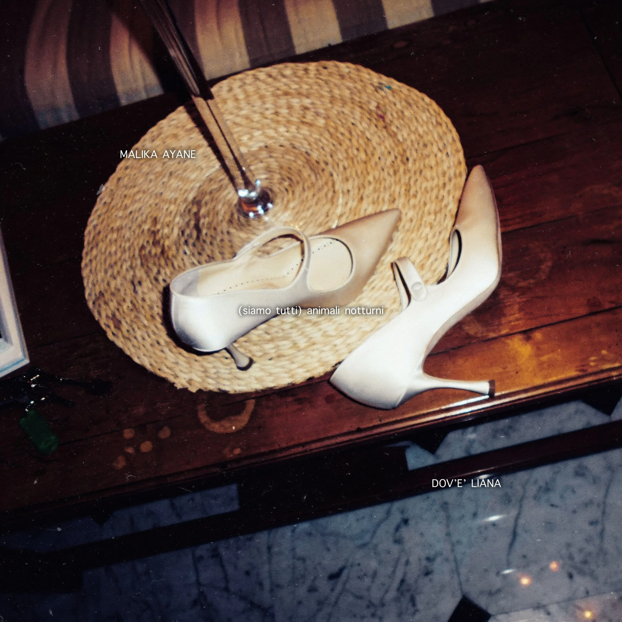 Malika Ayane torna con “(siamo tutti) animali notturni” feat. DOV'È LIANA
