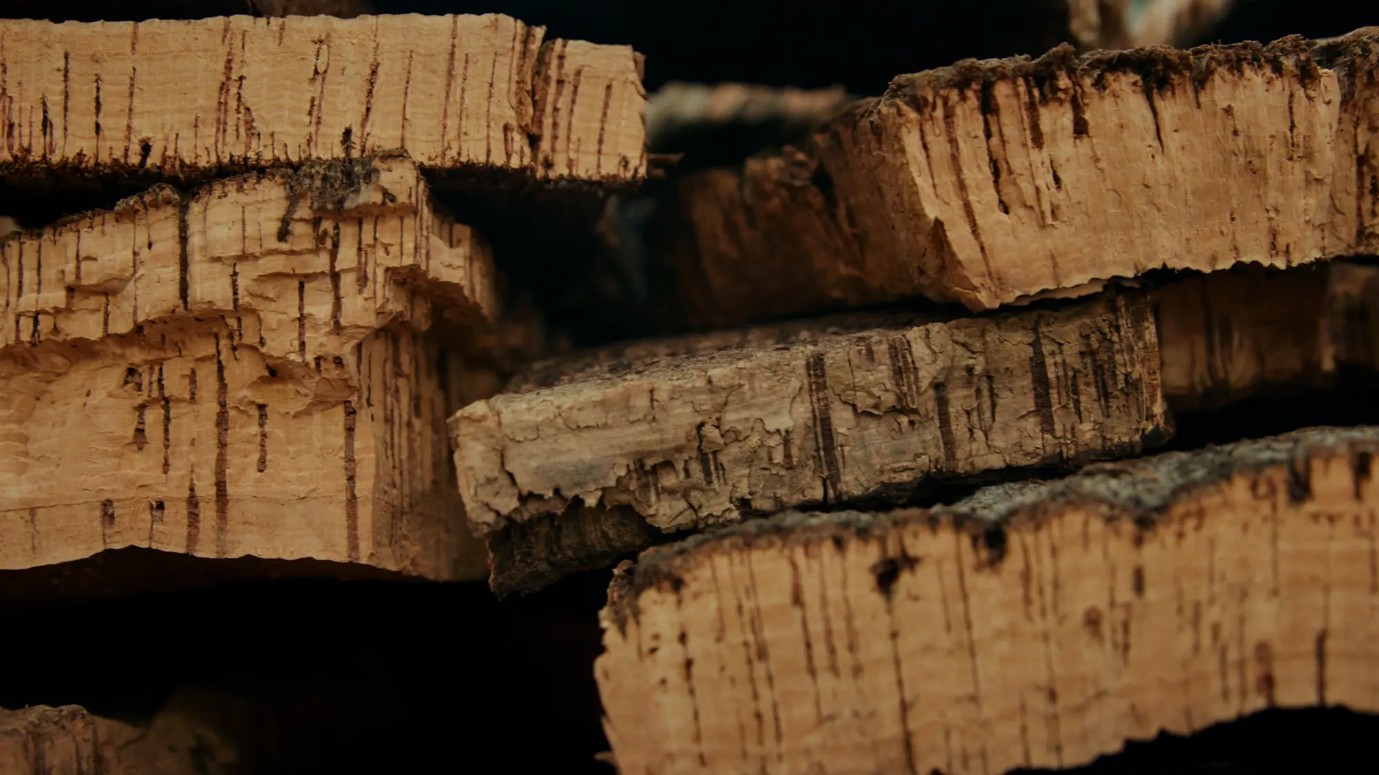 Pairing Portugal: il tappo NFC che trasforma il vino in viaggio digitale