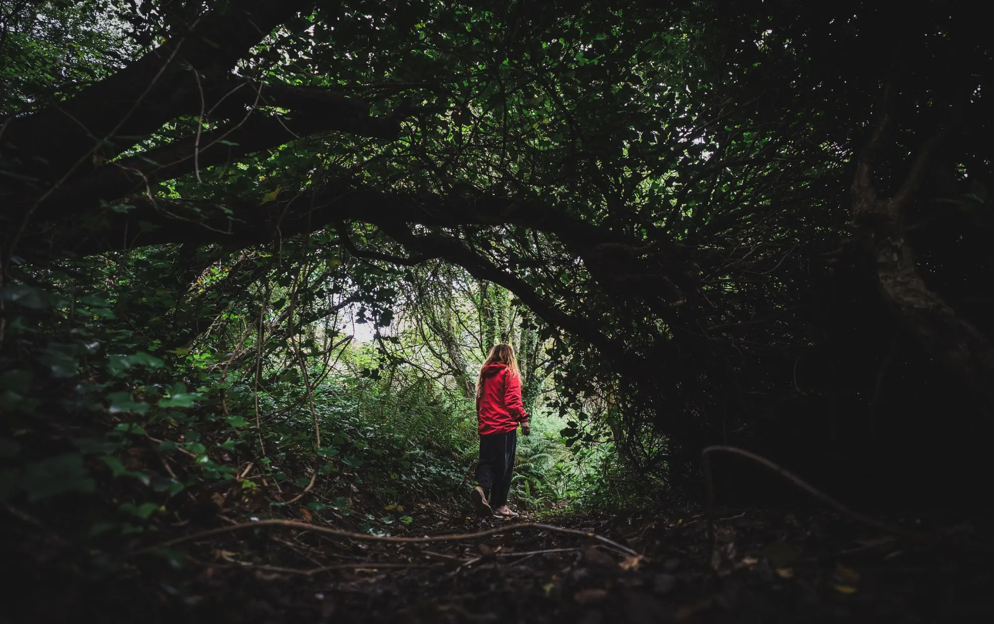 8 esperienze insolite da vivere in Irlanda: natura, tradizioni e incontri autentici