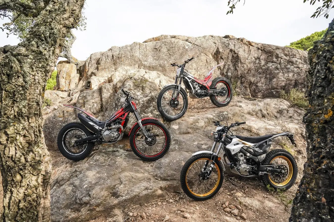 Montesa presenta la gamma 2027: nuove livree per Cota 301RR e 4RT 260R