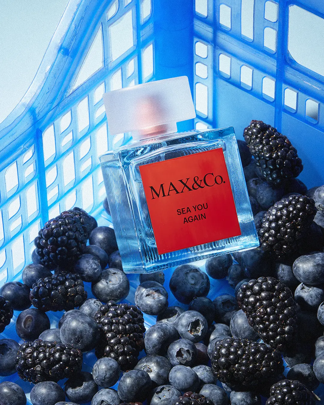 MAX&Co. lancia SEA YOU AGAIN: la nuova fragranza che esalta personalità e umore