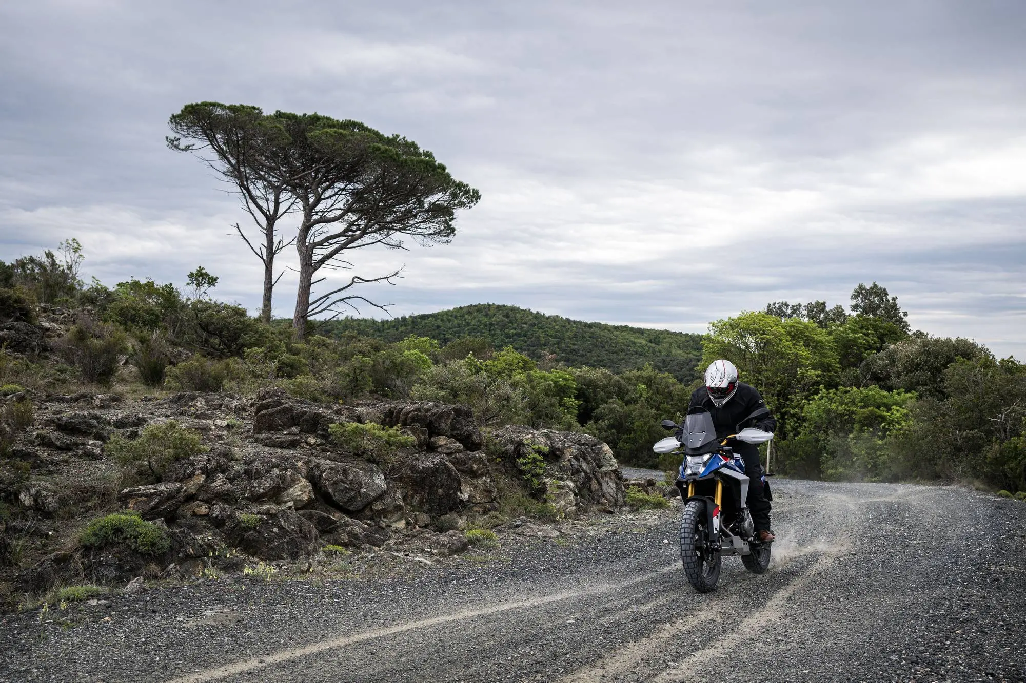 2000 2026 04 22 Ml1 5956 00012